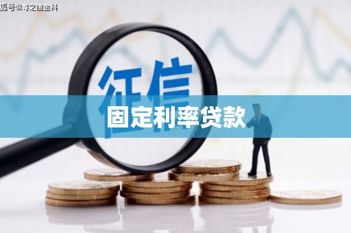 贞丰固定利率贷款