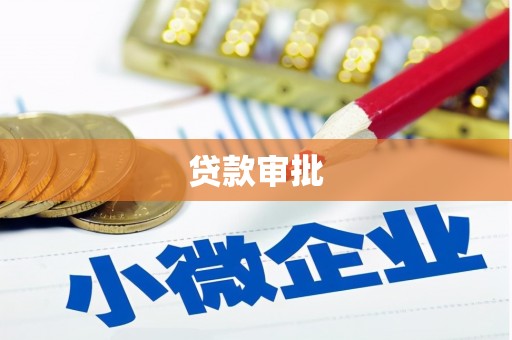 贞丰贷款审批