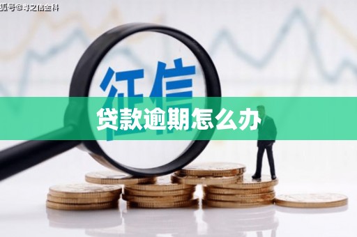 贞丰贷款逾期怎么办