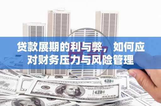 贞丰贷款展期的利与弊，如何应对财务压力与风险管理