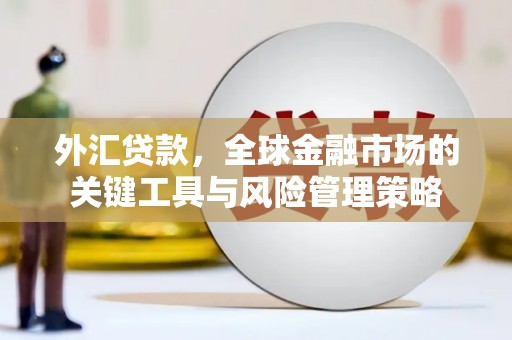 贞丰外汇贷款，全球金融市场的关键工具与风险管理策略
