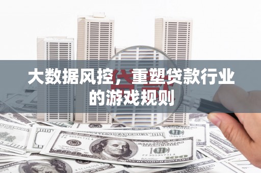 贞丰大数据风控，重塑贷款行业的游戏规则