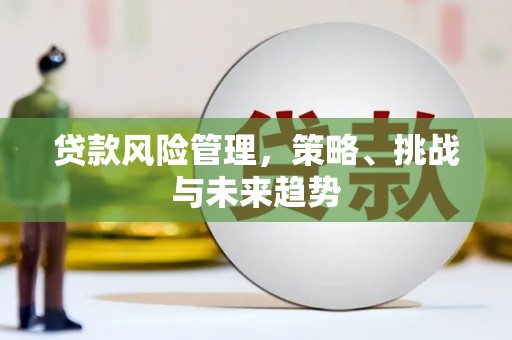 贞丰贷款风险管理，策略、挑战与未来趋势