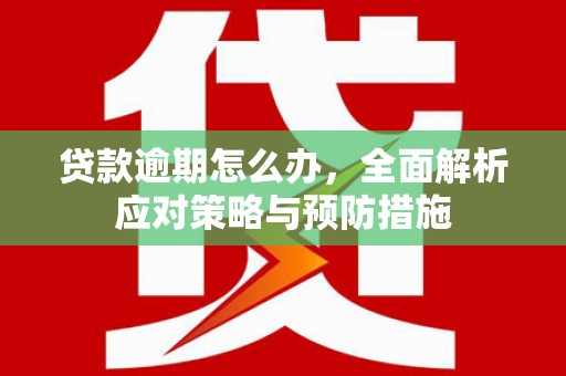 贞丰贷款逾期怎么办，全面解析应对策略与预防措施