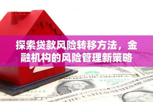 贞丰探索贷款风险转移方法，金融机构的风险管理新策略