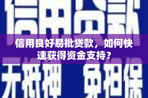 贞丰信用良好易批贷款，如何快速获得资金支持？