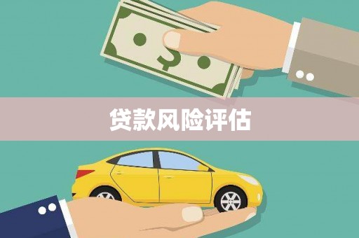 贞丰贷款风险评估