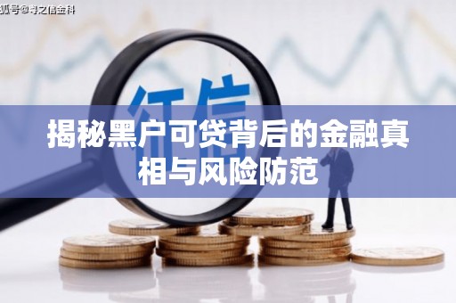 贞丰揭秘黑户可贷背后的金融真相与风险防范