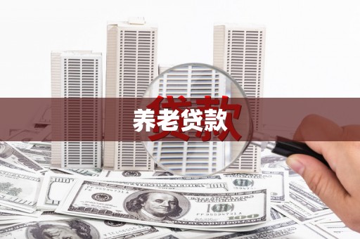 贞丰养老贷款