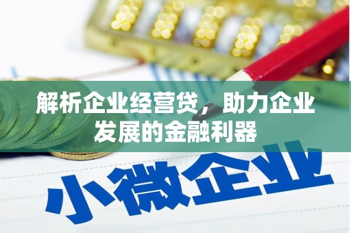 贞丰解析企业经营贷，助力企业发展的金融利器
