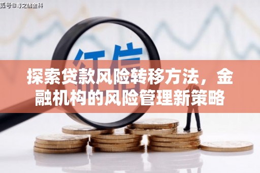 贞丰探索贷款风险转移方法，金融机构的风险管理新策略