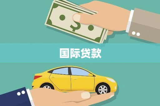 贞丰国际贷款