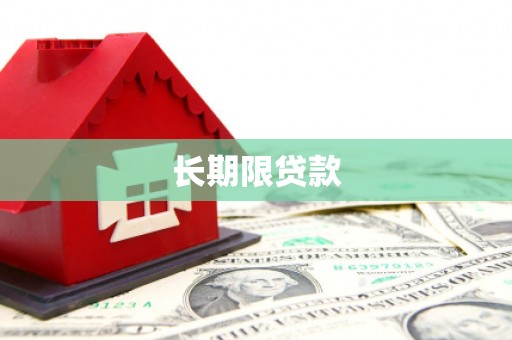 贞丰长期限贷款