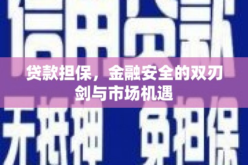 贞丰贷款担保，金融安全的双刃剑与市场机遇