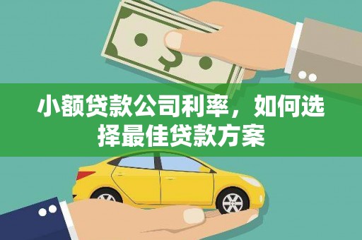 贞丰小额贷款公司利率，如何选择最佳贷款方案