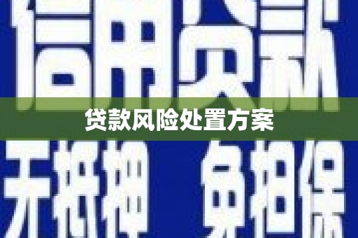 贞丰贷款风险处置方案
