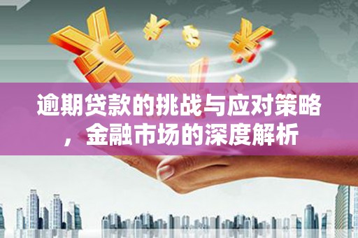 贞丰逾期贷款的挑战与应对策略，金融市场的深度解析
