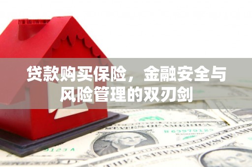 贞丰贷款购买保险，金融安全与风险管理的双刃剑