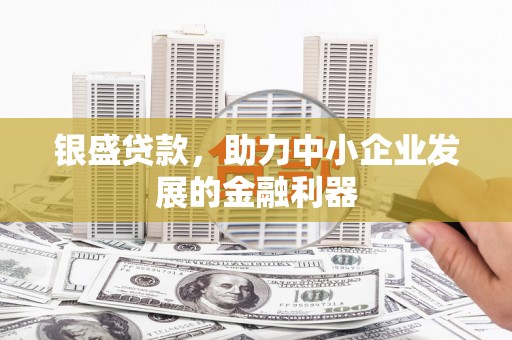 贞丰银盛贷款，助力中小企业发展的金融利器