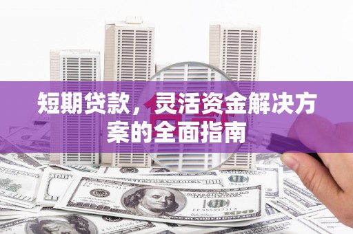 贞丰短期贷款，灵活资金解决方案的全面指南