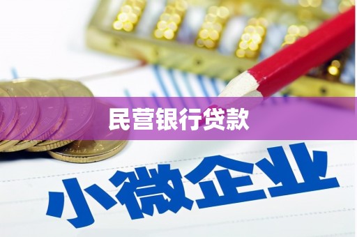贞丰民营银行贷款