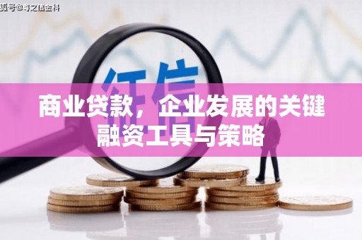 贞丰商业贷款，企业发展的关键融资工具与策略