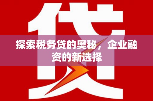 贞丰探索税务贷的奥秘，企业融资的新选择