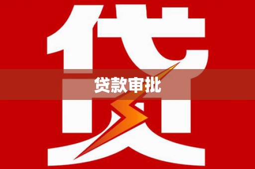 贞丰贷款审批