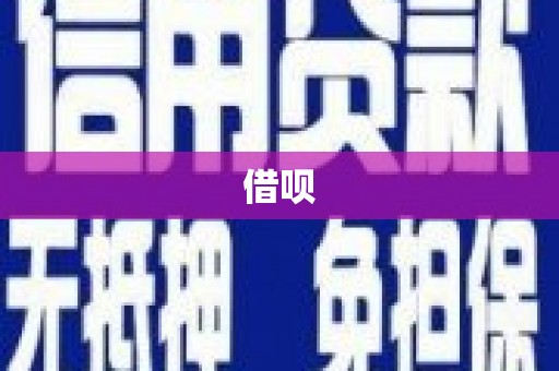 贞丰借呗