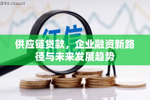 贞丰供应链贷款，企业融资新路径与未来发展趋势