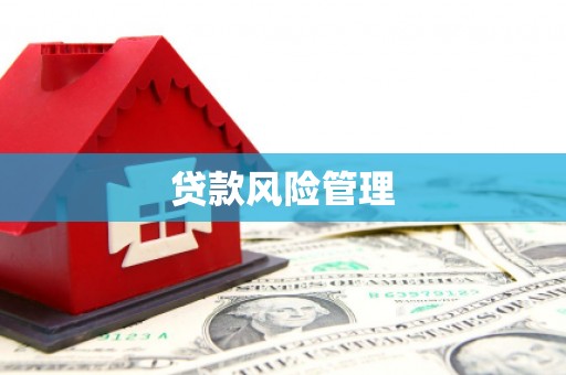 贞丰贷款风险管理