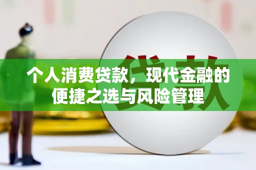贞丰个人消费贷款，现代金融的便捷之选与风险管理