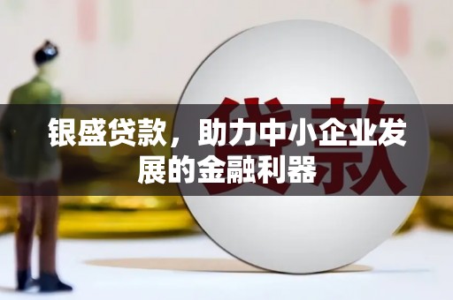 贞丰银盛贷款，助力中小企业发展的金融利器