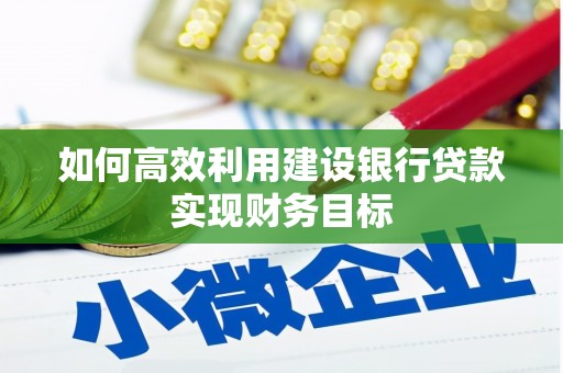 贞丰如何高效利用建设银行贷款实现财务目标