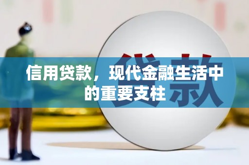 贞丰信用贷款，现代金融生活中的重要支柱