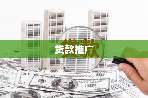 贞丰贷款推广