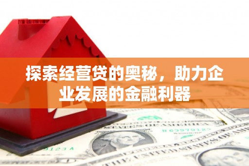 贞丰探索经营贷的奥秘，助力企业发展的金融利器