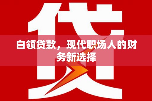 贞丰白领贷款，现代职场人的财务新选择