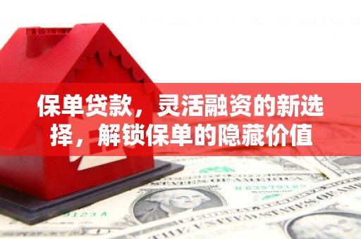 贞丰保单贷款，灵活融资的新选择，解锁保单的隐藏价值