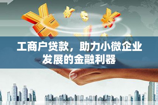 贞丰工商户贷款，助力小微企业发展的金融利器