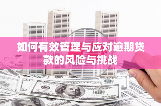 贞丰如何有效管理与应对逾期贷款的风险与挑战