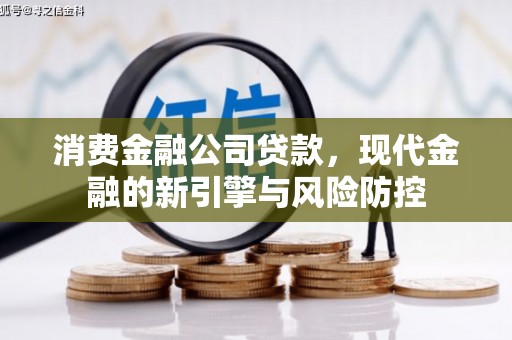 贞丰消费金融公司贷款，现代金融的新引擎与风险防控