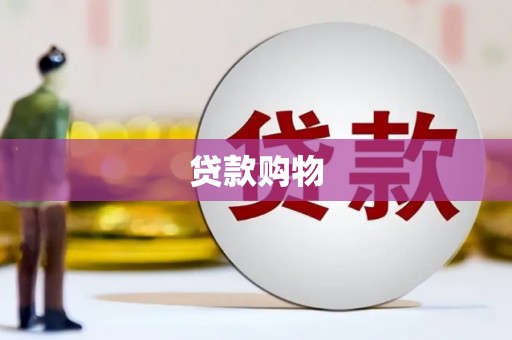 贞丰贷款购物