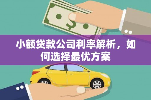 贞丰小额贷款公司利率解析，如何选择最优方案