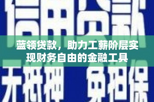 贞丰蓝领贷款，助力工薪阶层实现财务自由的金融工具