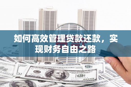 贞丰如何高效管理贷款还款，实现财务自由之路
