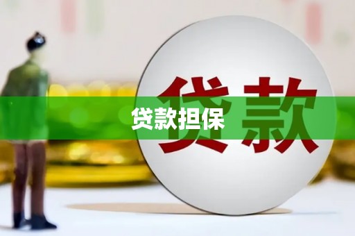 贞丰贷款担保