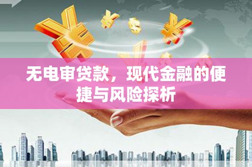 贞丰无电审贷款，现代金融的便捷与风险探析