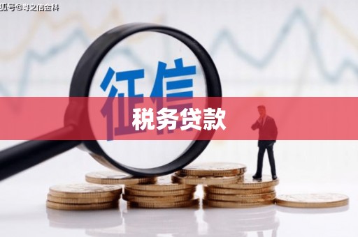 贞丰税务贷款