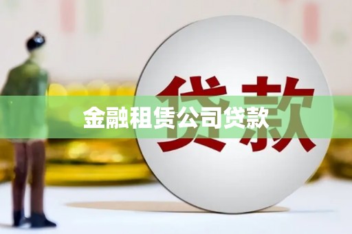 贞丰金融租赁公司贷款